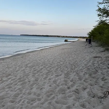 Bursztynowy Widok - Z Bezposrednim Dostepem Do Plazy Oraz Widokiem Na Morze Rewa